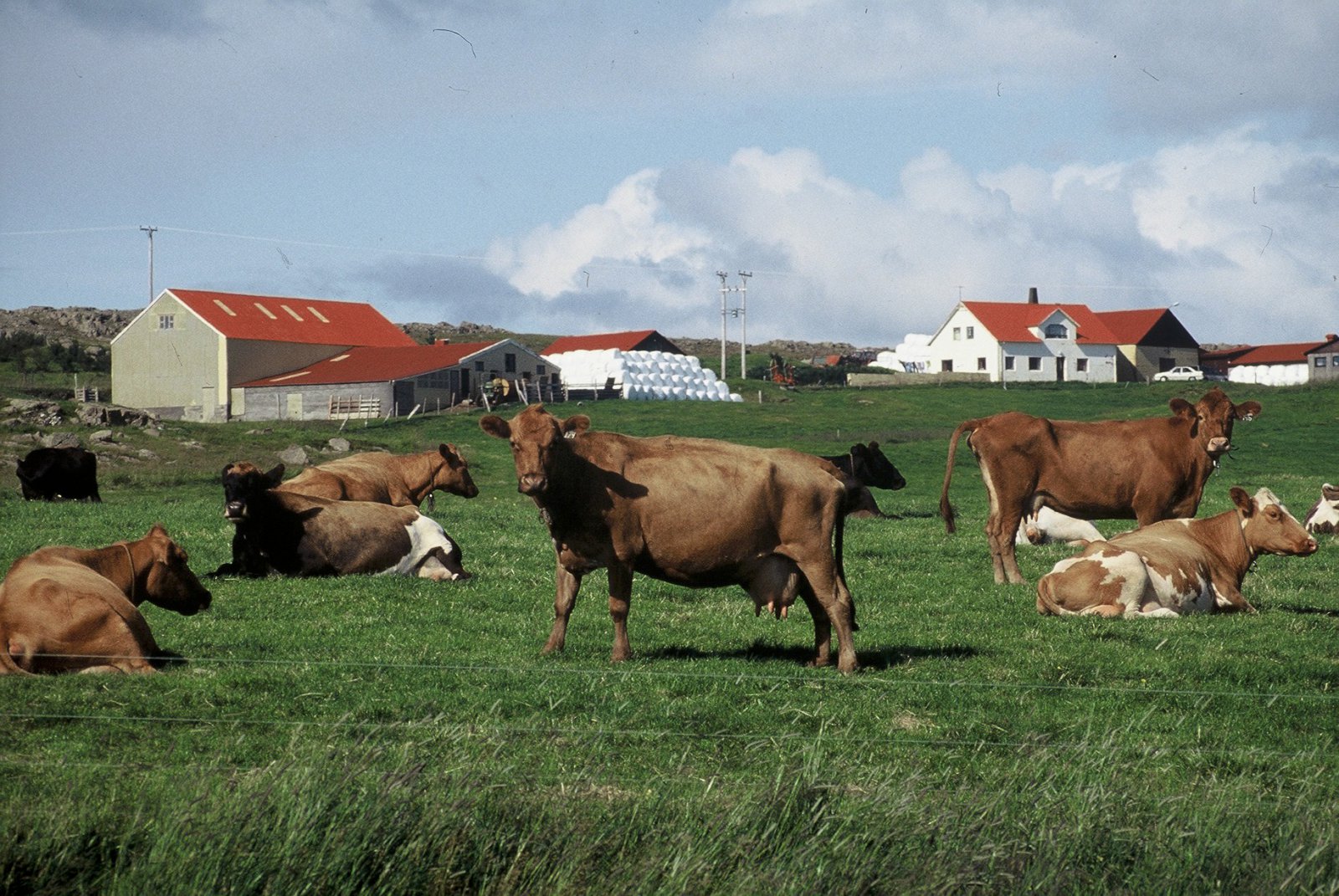 Jafnvægisverð 185 krónur á lítrann