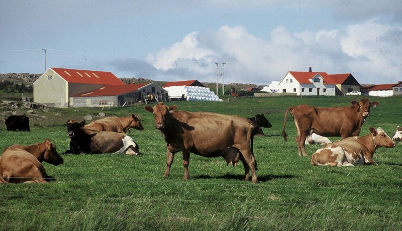 Jafnvægisverð 185 krónur á lítrann