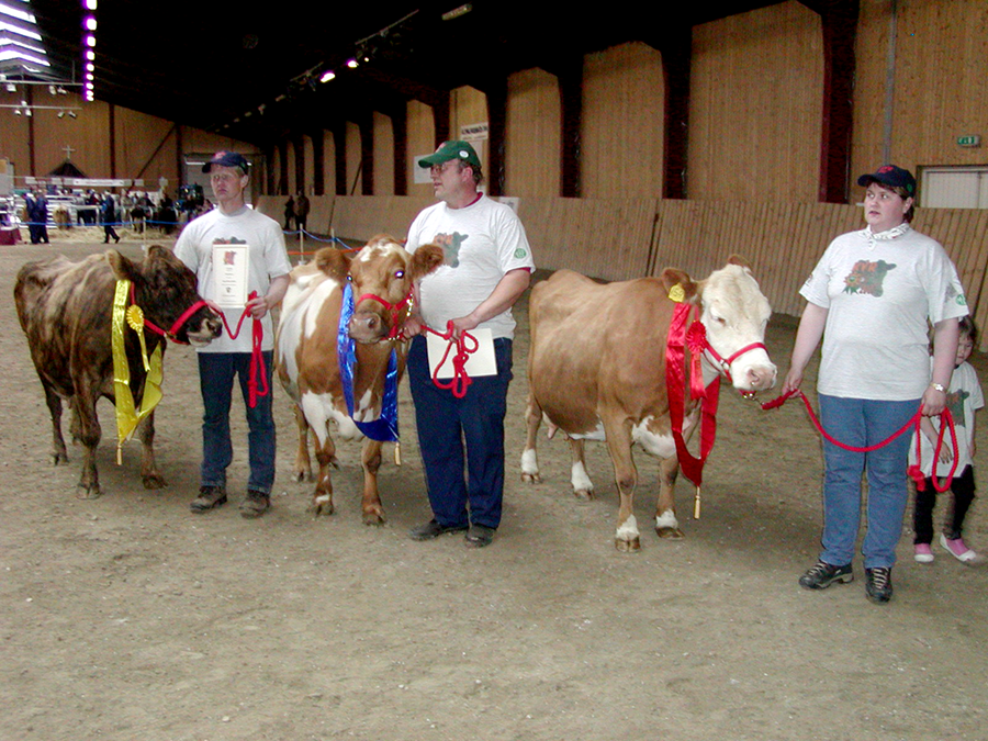 Verðlaunagripir á kúasýningu