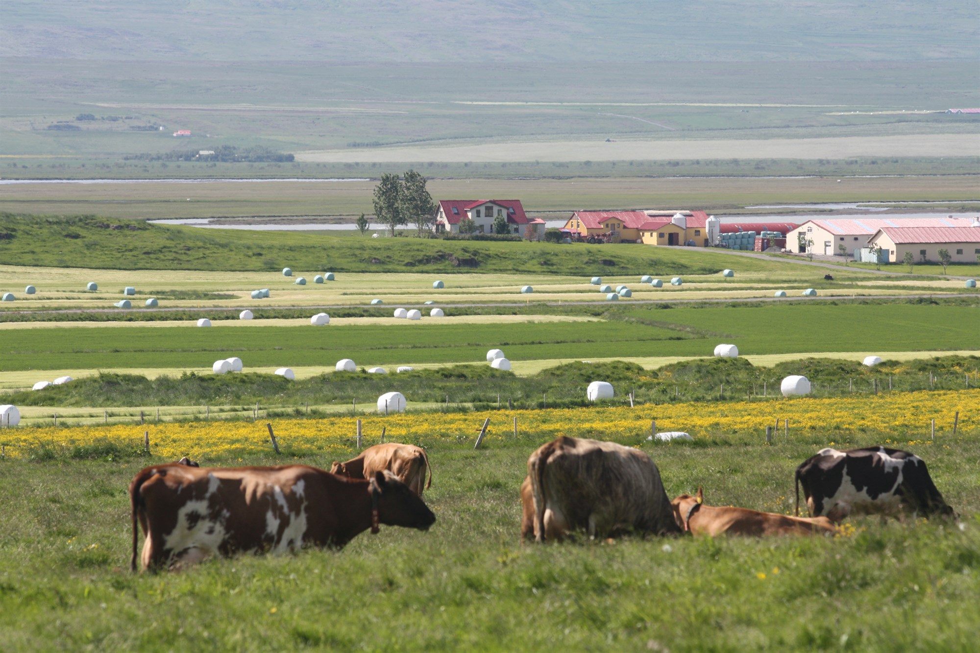 Formlegt boð um sameiningarviðræður Sveitarfélagsins Skagafjarðar og Akrahrepps