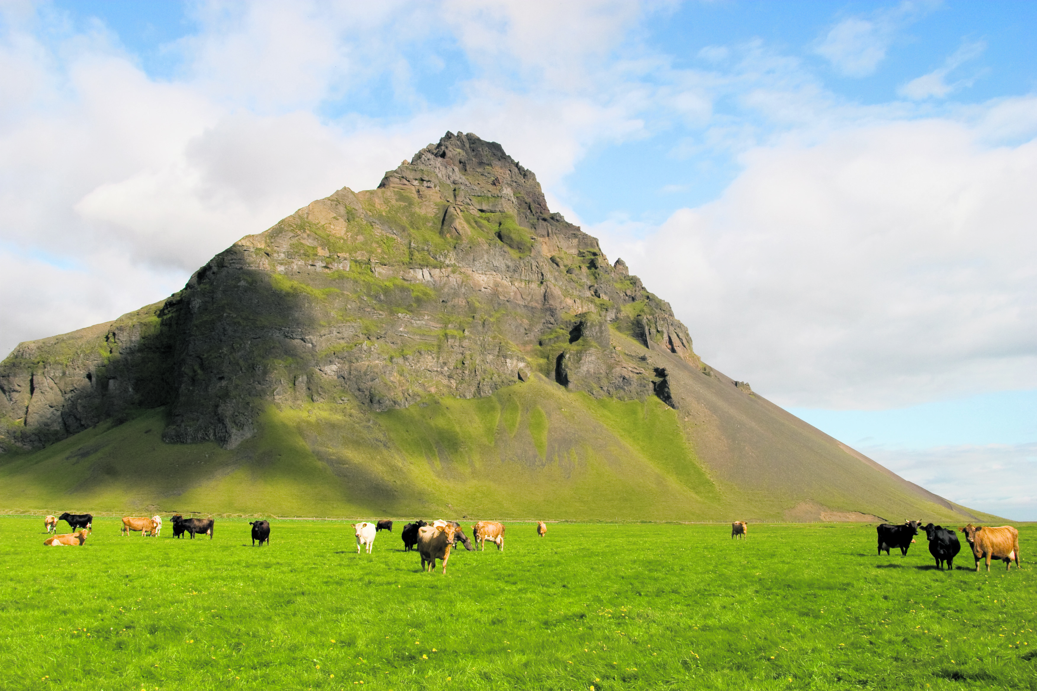 Mjólkurkvótinn aukinn um ríflega eitt prósent á næsta ári