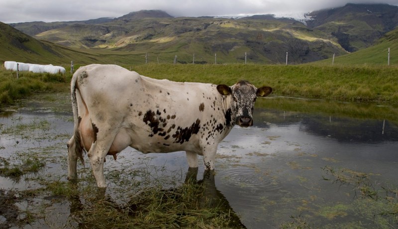 Ekki minnst einu orði á landbúnað í samkomulagsdrögunum fyrir Parísarráðstefnuna
