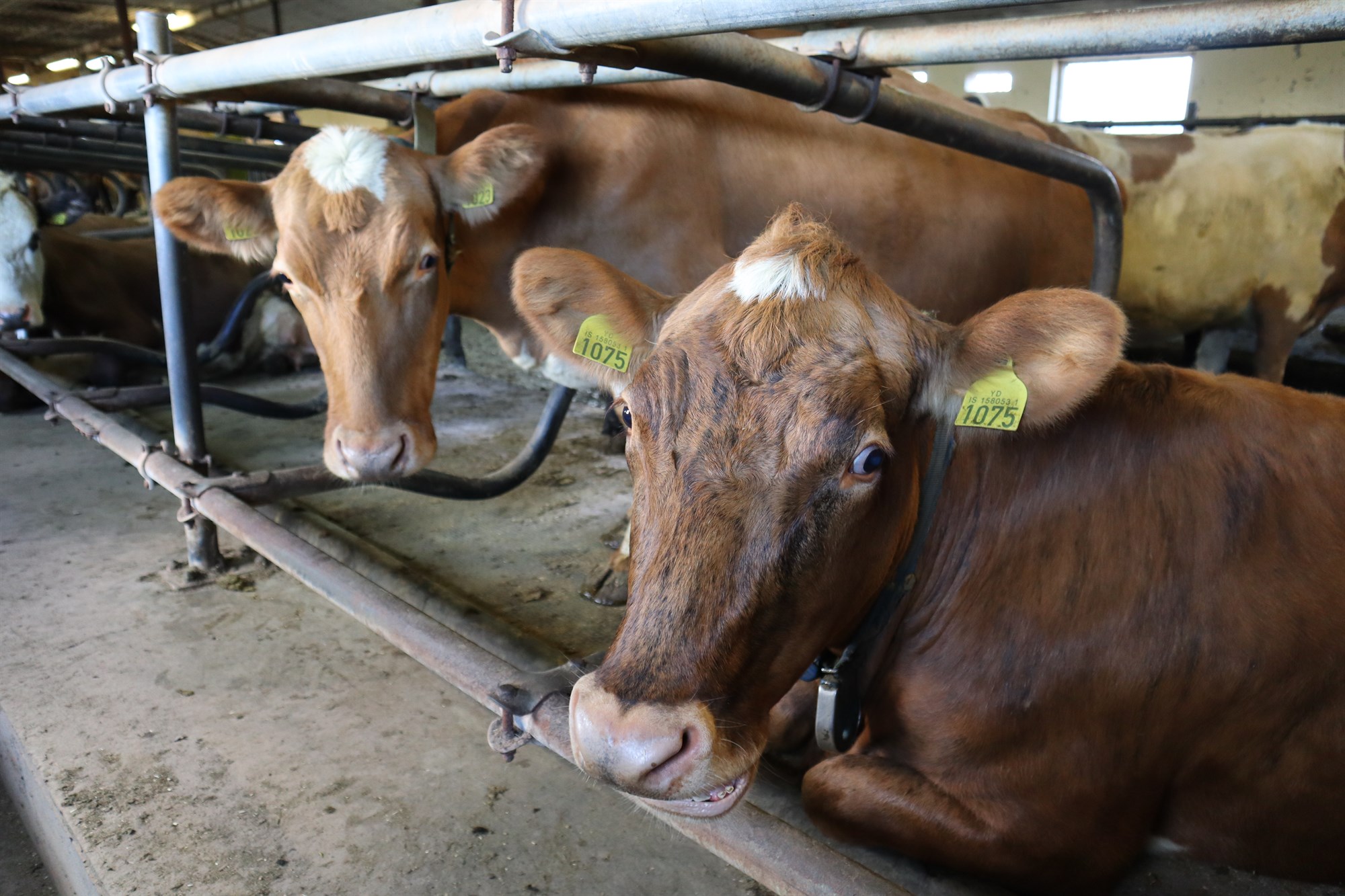 Stuðningskerfi framtíðar