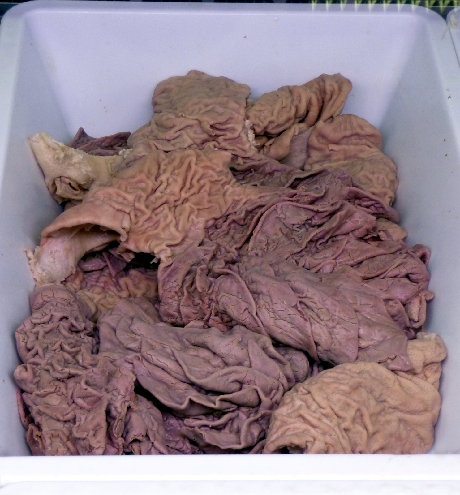 Heilastappa og kúrekakavíar