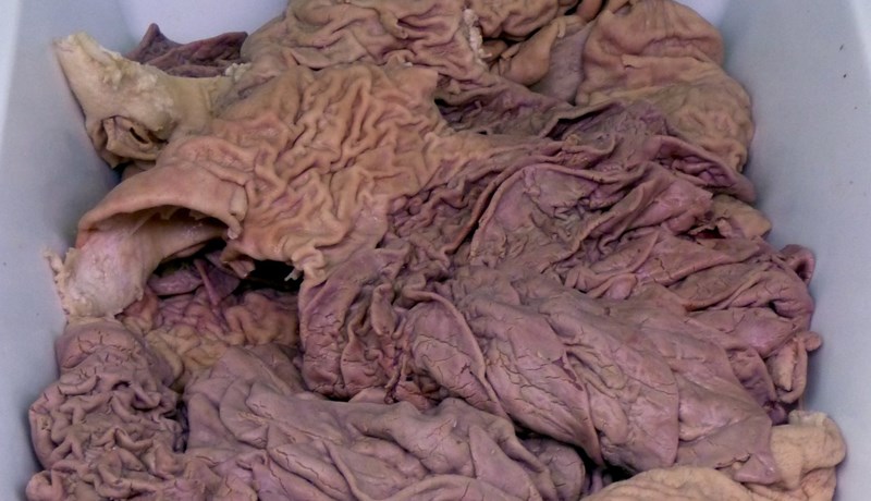 Heilastappa og kúrekakavíar