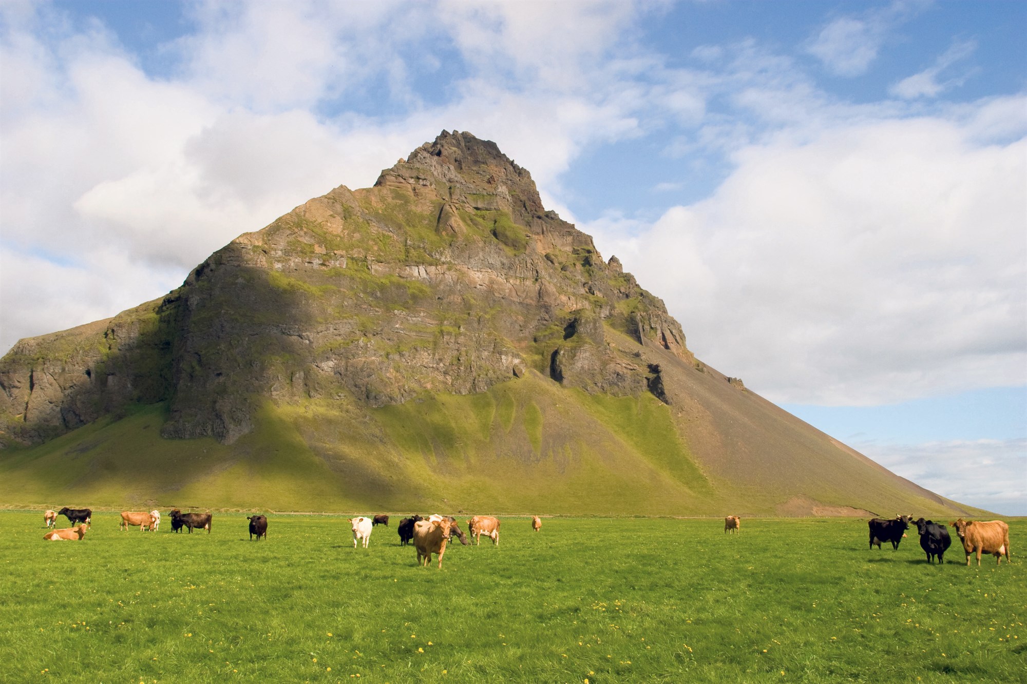 Fjölgað í verkefninu Loftslagsvænn landbúnaður