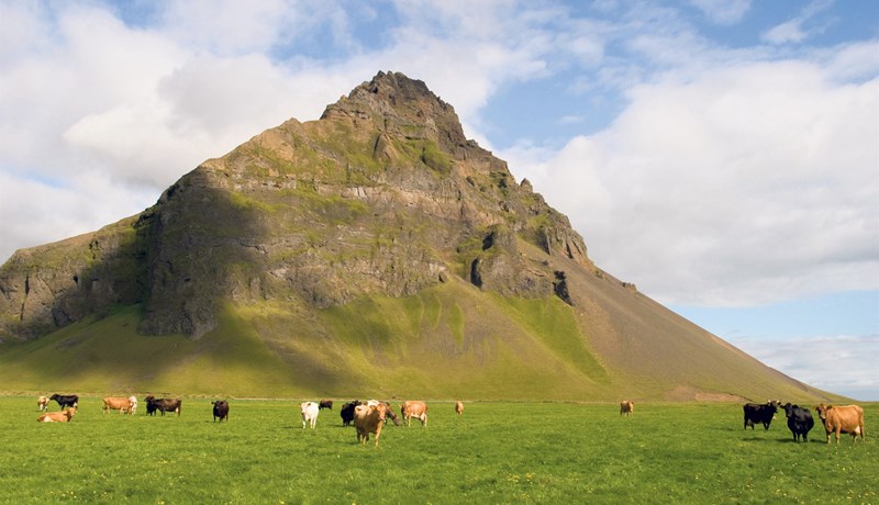 Fjölga þátttakendum