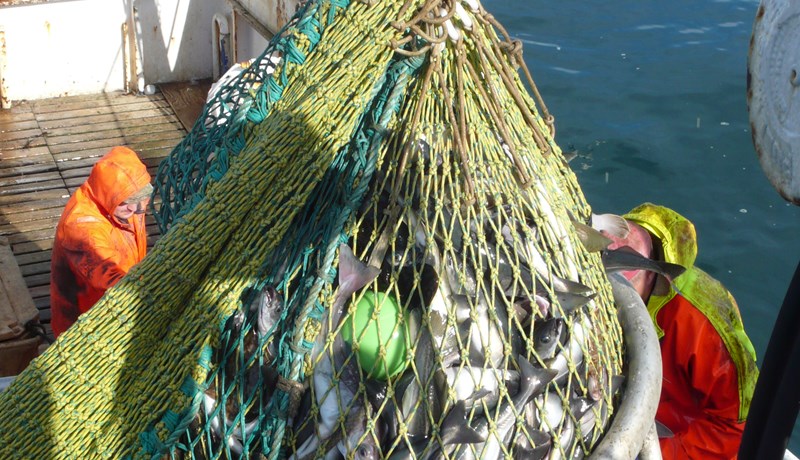 Frumvarpsdrög um myndavélaeftirlit og fasta ísprósentu dagróðrabáta