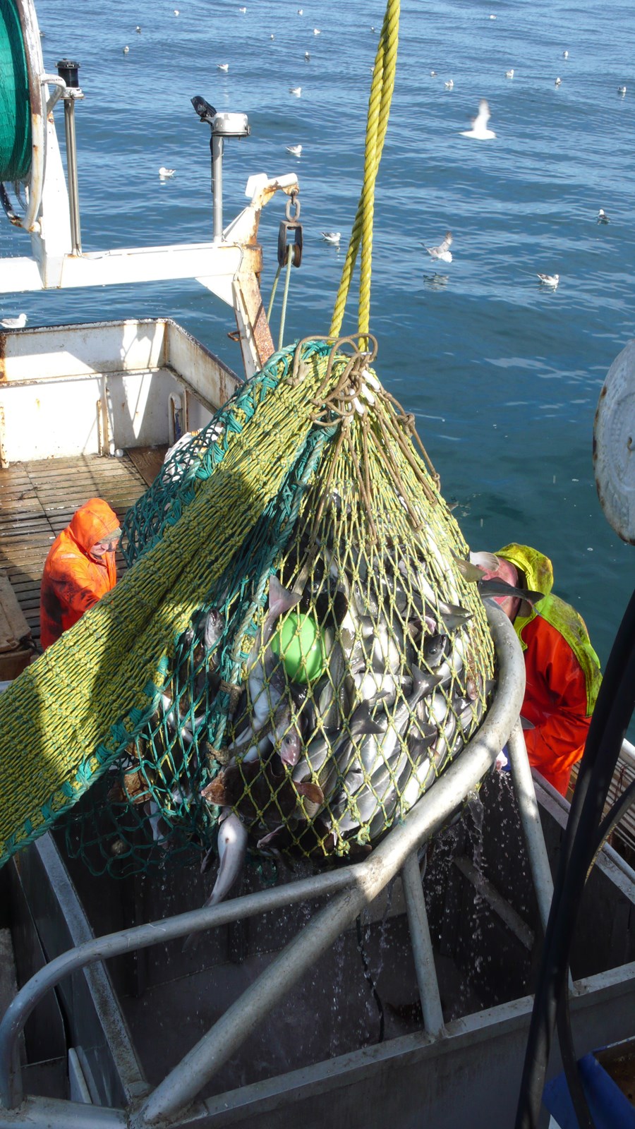 Frumvarpsdrög um myndavélaeftirlit og fasta ísprósentu dagróðrabáta