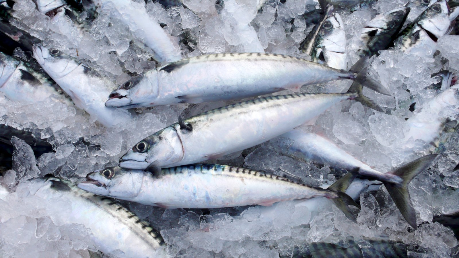 2.000 tonna viðbótarúthlutun í makríl