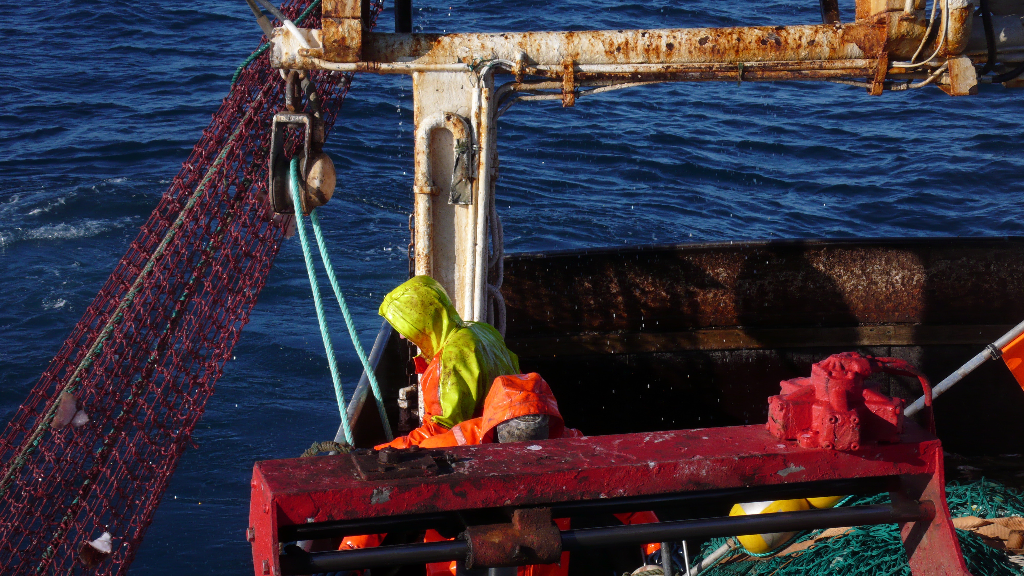 Kannar vistfræði Austurdjúps