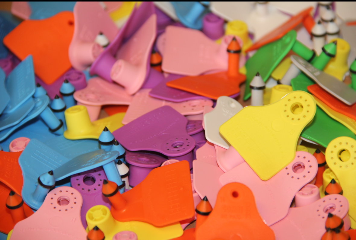 Segir kostnað og óhagræði af banninu