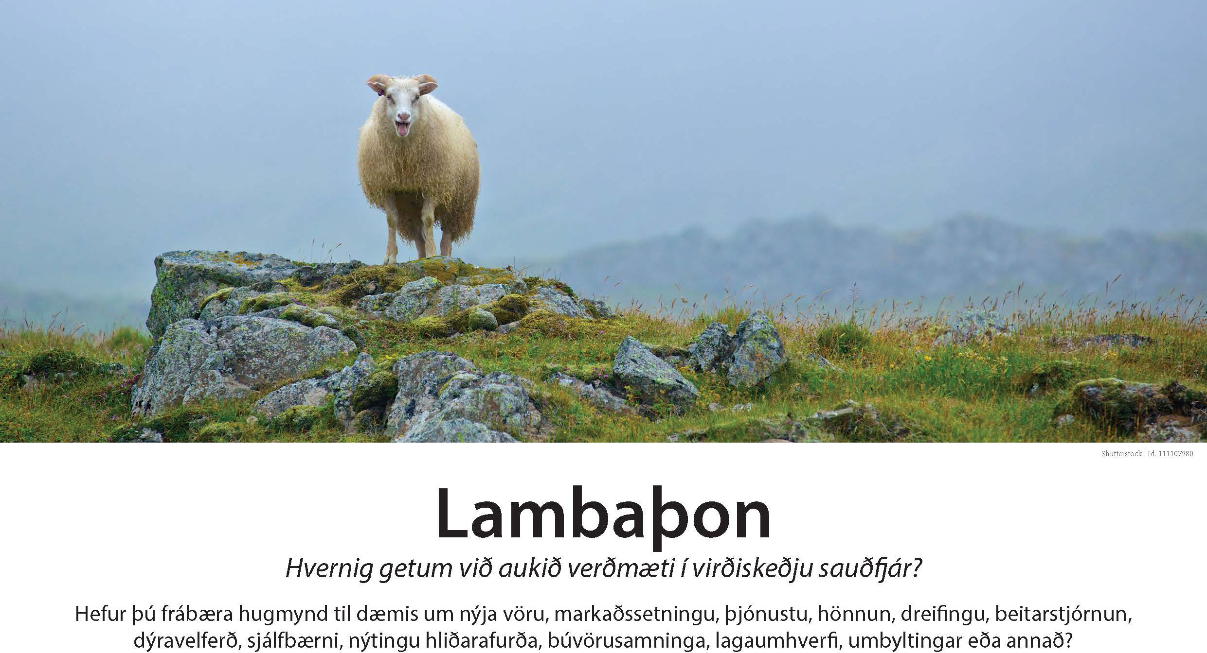 Lambaþon: Hvernig getum við aukið verðmæti í virðiskeðju sauðfjár?