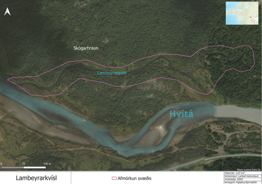 Lambeyrarkvísl í Borgarfirði.