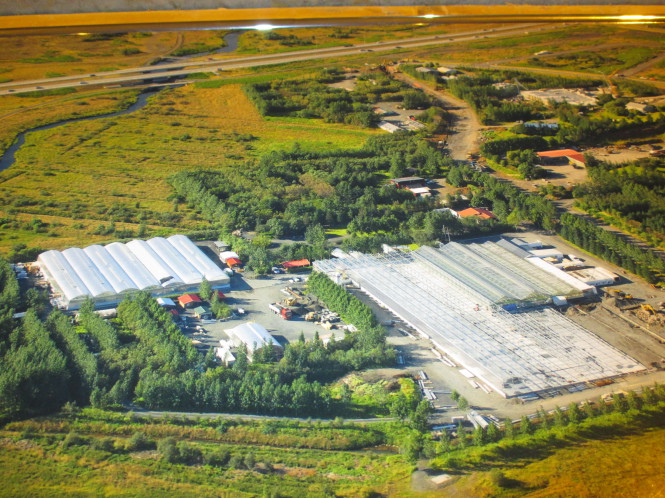 Reisir 7.000 fermetra gróðurhús