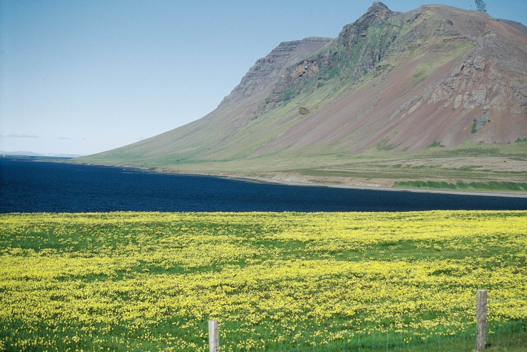 Landeigendum gert að láta gera merkjalýsingu