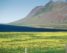 Aðild fæli í sér víðtækar breytingar fyrir landbúnaðinn