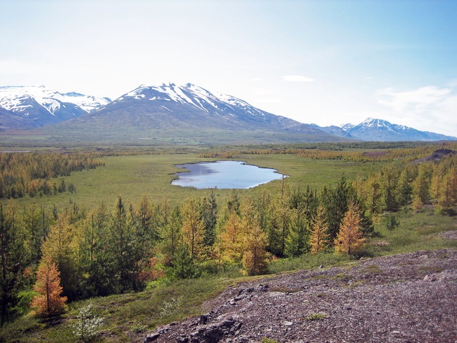 Landbúnaður í velsældarhagkerfi