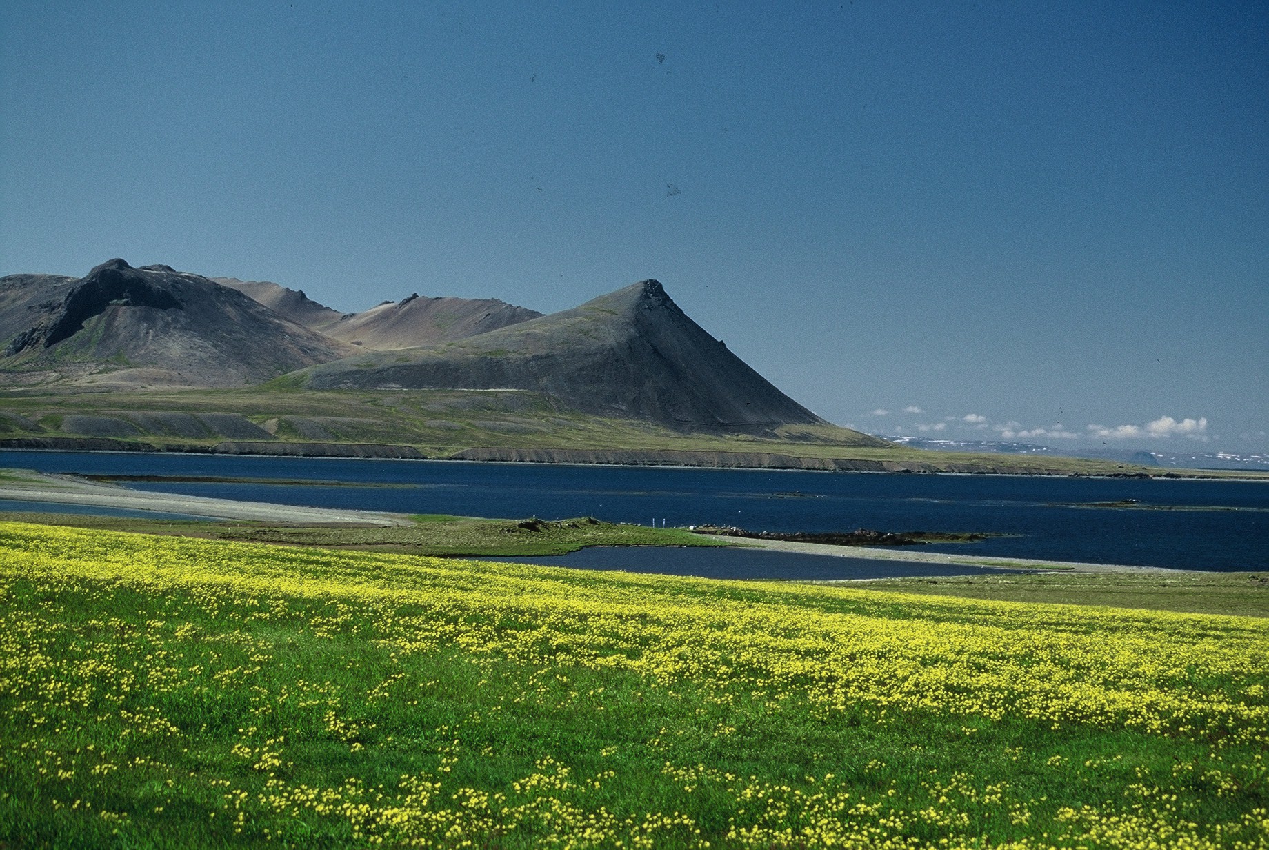 Rangfærslur um kolefnislosun