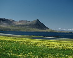 Byggðamál og hagsmunir landbúnaðarins órjúfanleg heild eftir Guðbjörgu Jónsdóttur