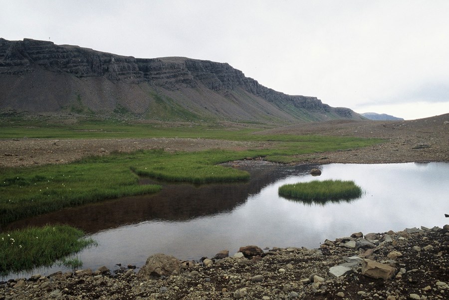 Lög og reglur um kaup erlendra aðila á bújörðum verða endurskoðaðar