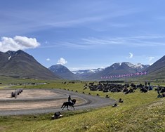 Mótið 2026 fer vel af stað!