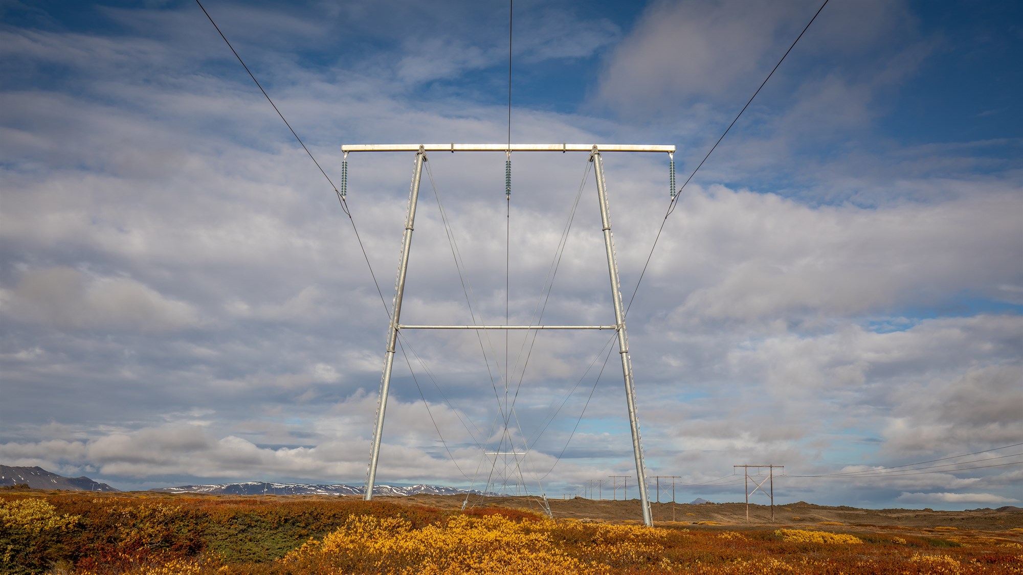 Raflínunetið, stýrikerfi og orkusala