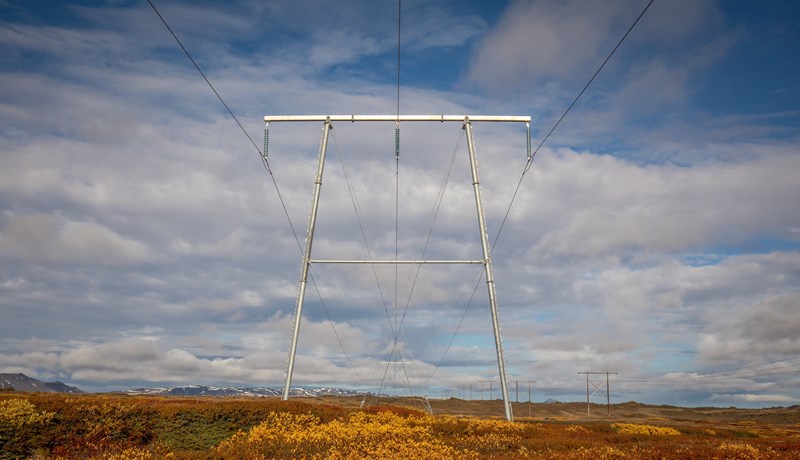 Raflínunetið, stýrikerfi og orkusala