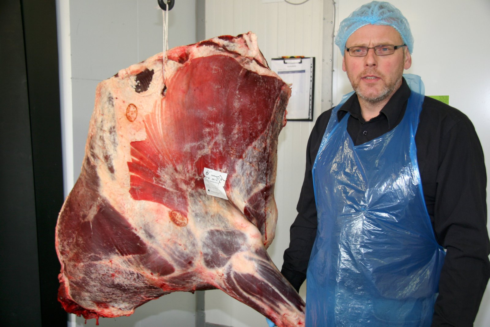 Frumvarp verður lagt fram fyrir páska um innflutning holdasæðis