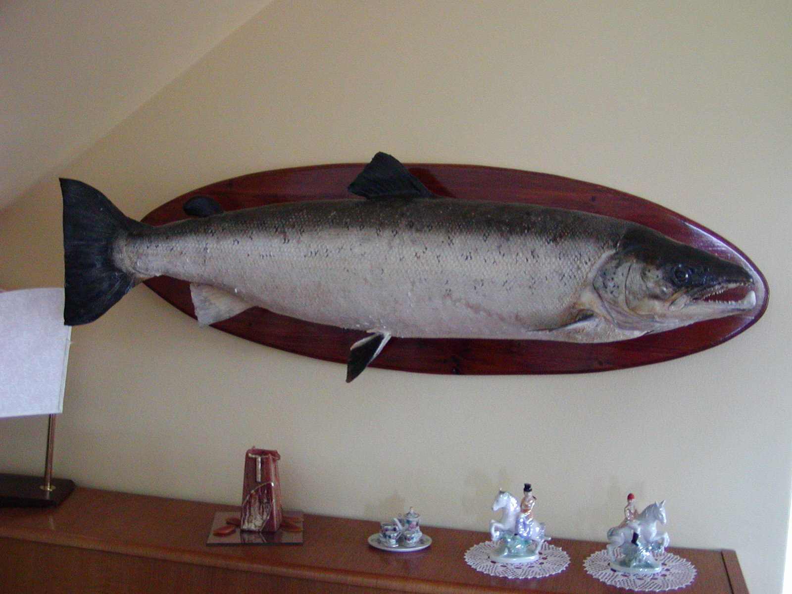 Lax, lax, lax og aftur lax