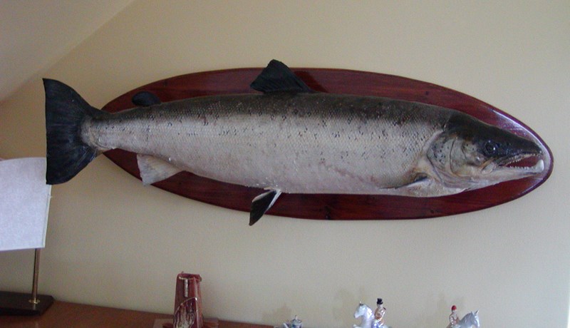 Lax, lax, lax og aftur lax