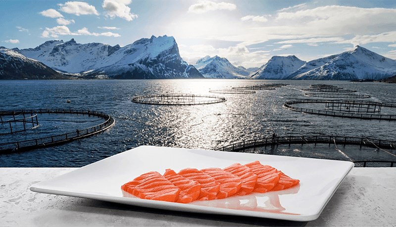 Metár í norskum sjávarútvegi