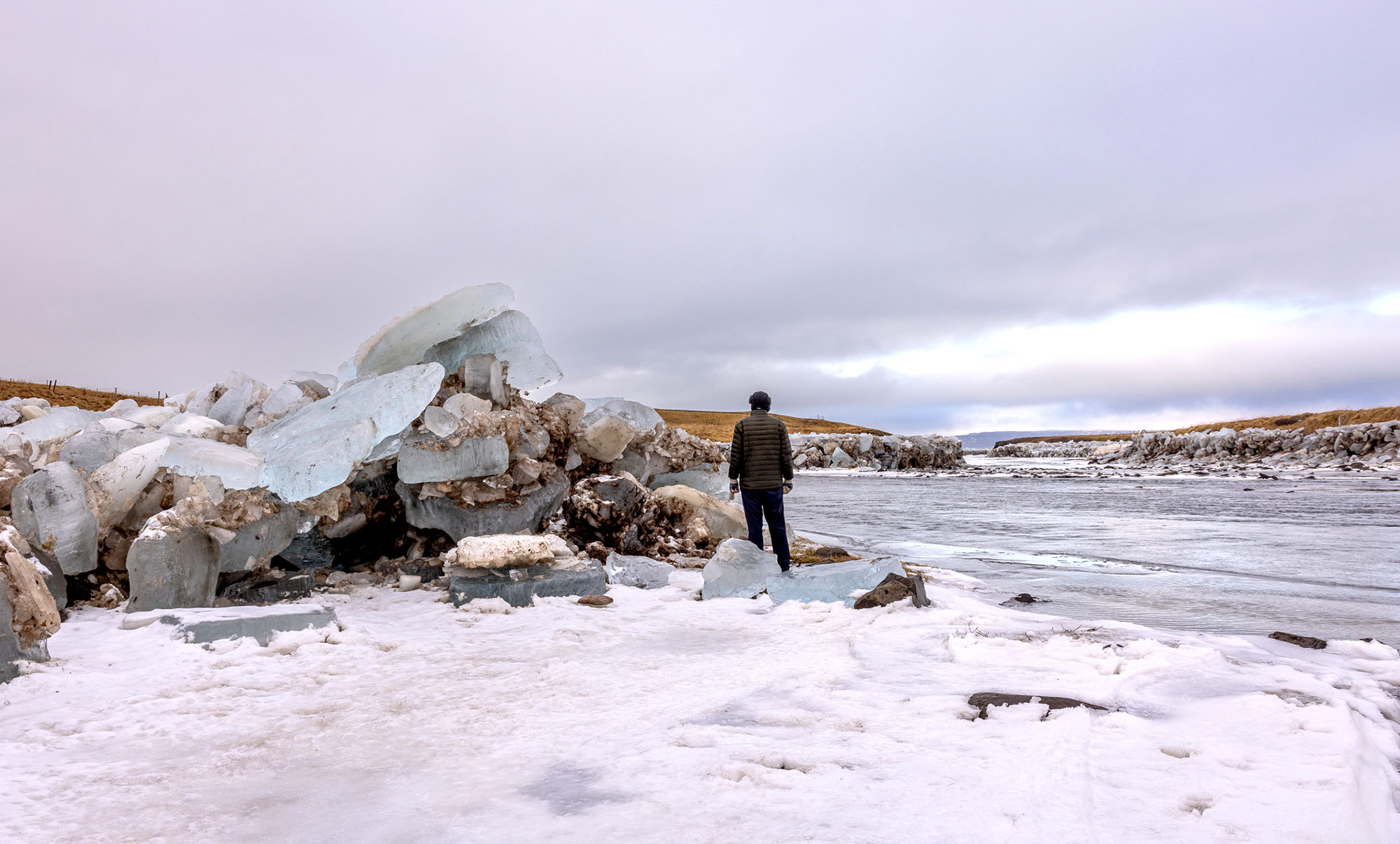 Lögfesta erfðablöndunar á laxi