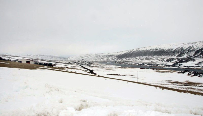 Bændur fá tjónastuðning eftir kuldakast