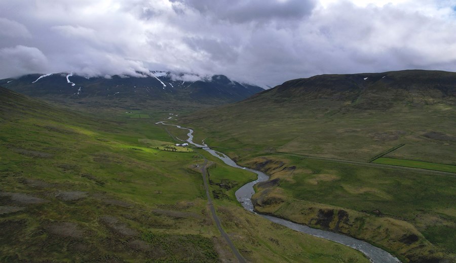 „Hann hét Erlendur Guðmundsson. Hann vildi aldrei fara til Kanada. Ósk hans var að fá að búa áfram á Íslandi. Annað hvort á Sæunnarstöðum í Hallárdal inn af Skagaströnd, þar sem hann hafði búið árin á undan í skjóli tengdaföður síns, eða á jörð foreldra sinna, Mörk í Laxárdal í Austur-Húnavatnssýslu.“ 