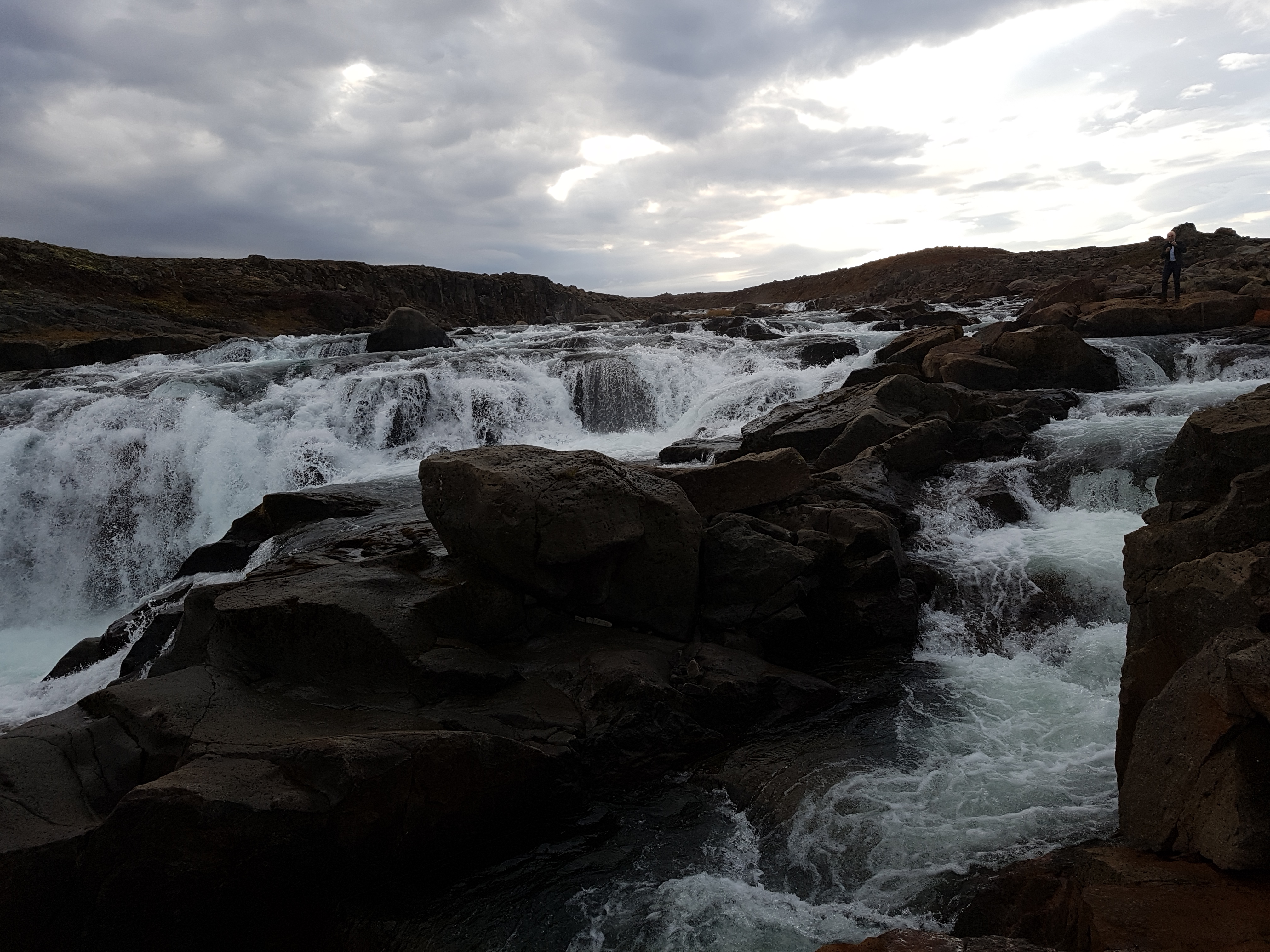 Kynntu rannsóknir á lífríki og auðgun Selár