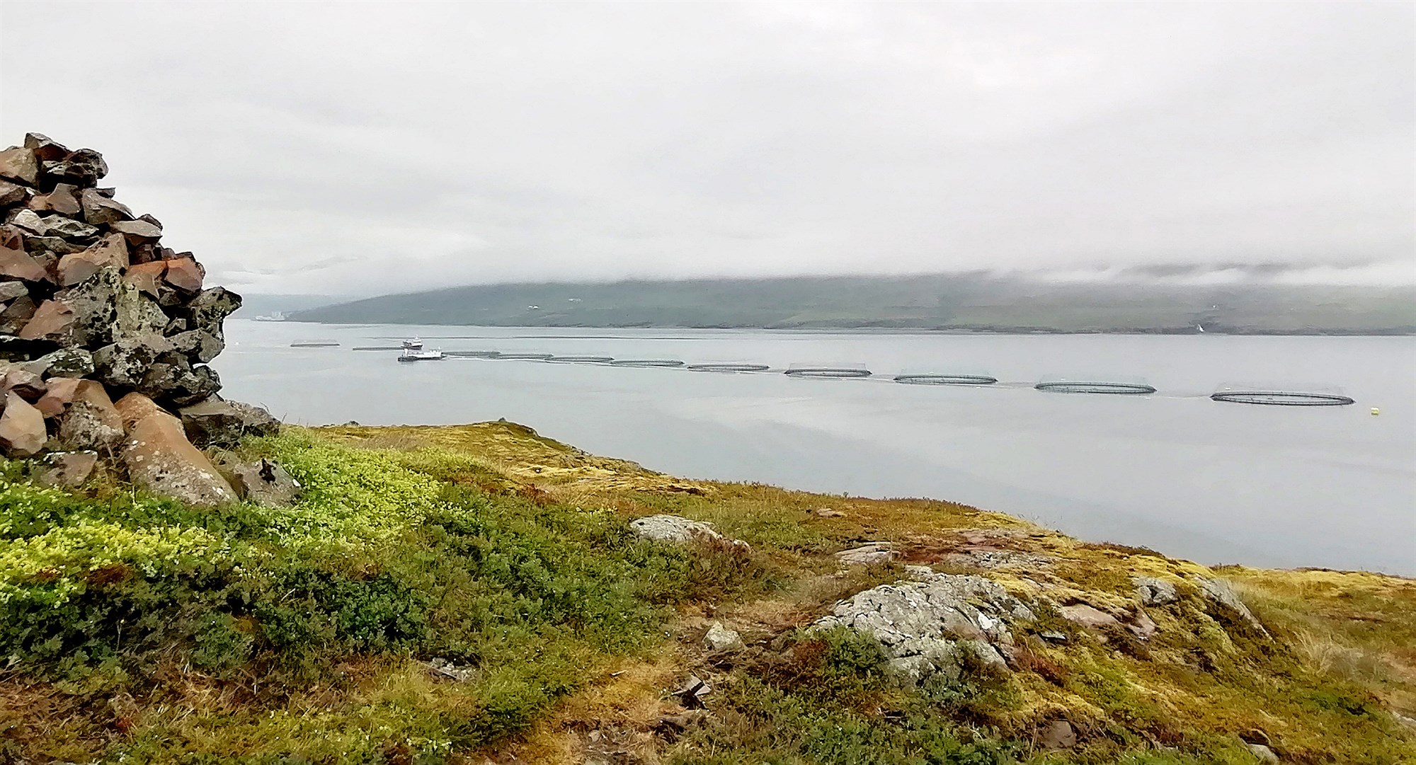 Tækifæri og áskoranir í virðiskeðju íslenska eldislaxins