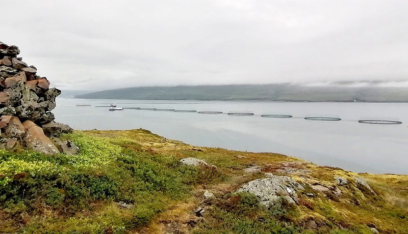Tækifæri og áskoranir í virðiskeðju íslenska eldislaxins