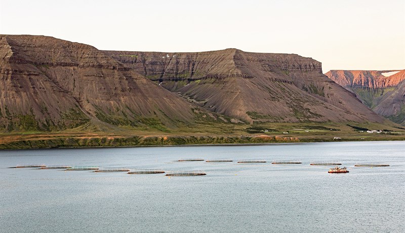 Verðmæti eldisleyfa sem eru í eigu útlendinga