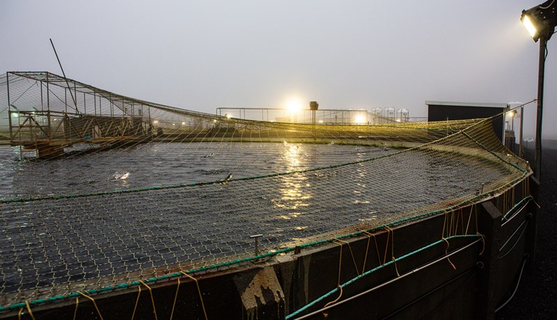 First Water tvöfaldar framleiðslugetu með framkvæmdum