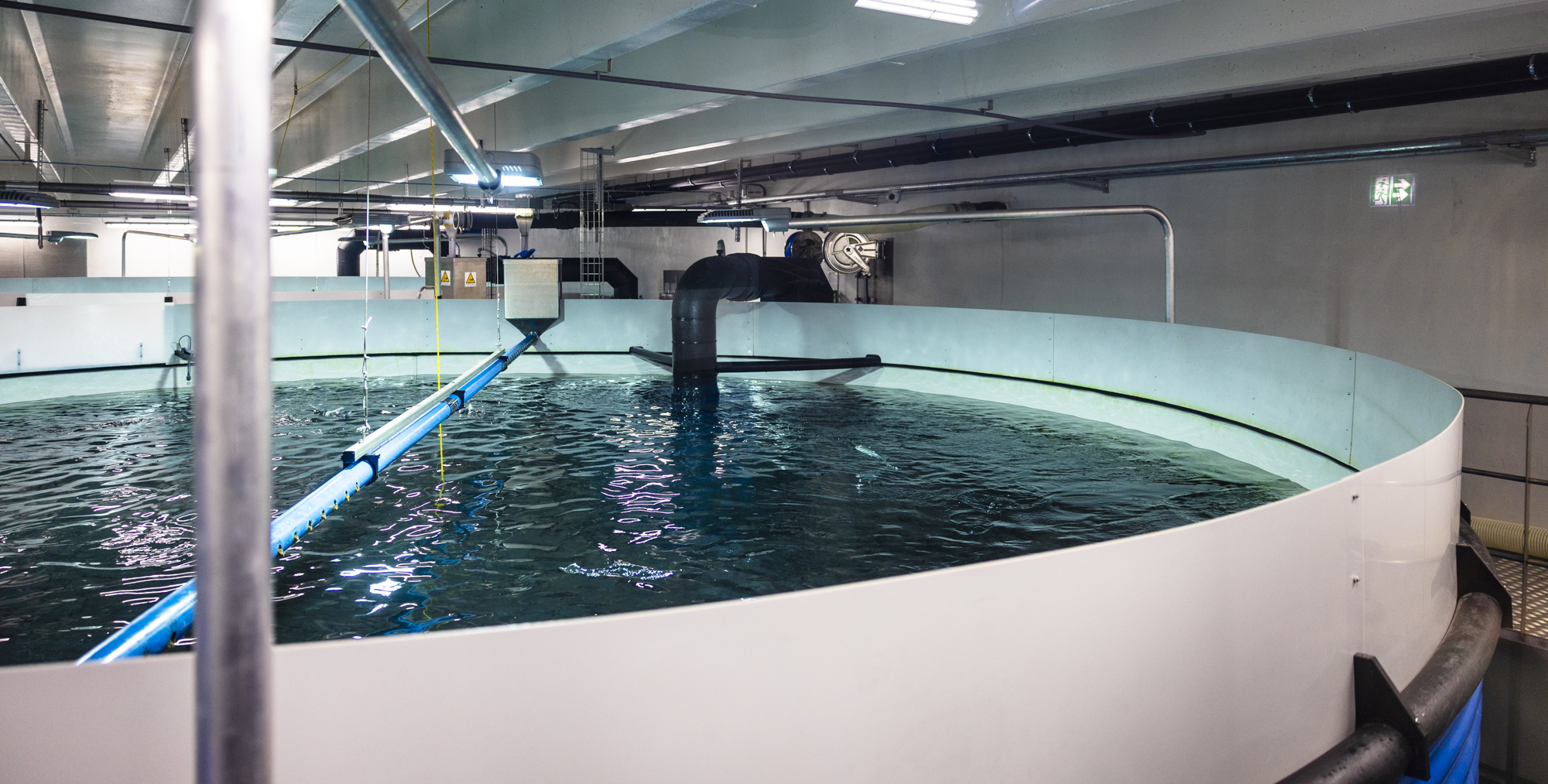 Sérstaks frumvarps um landeldi krafist