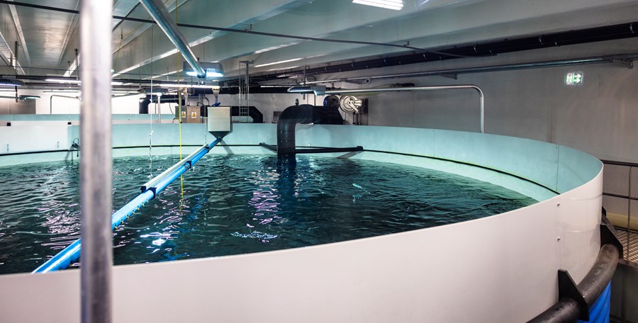 Sérstaks frumvarps um landeldi krafist