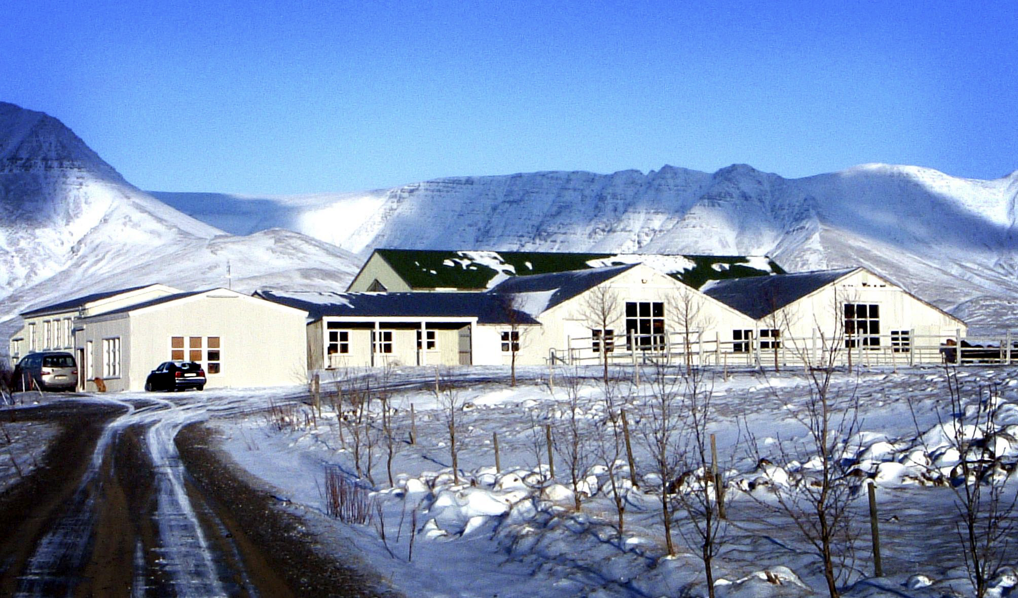 Hestaleigan Laxnesi 50 &#225;ra