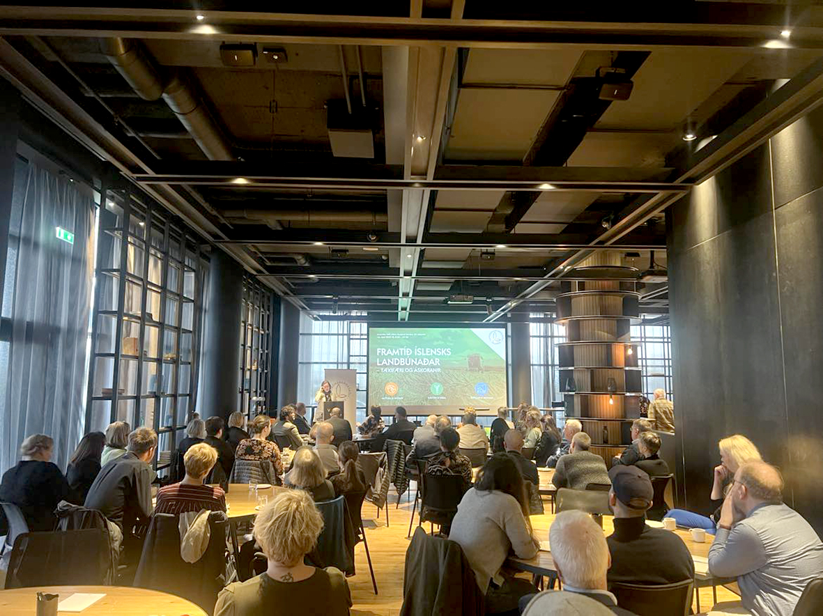 Áskoranir og tækifæri