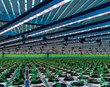 Mikill gangur í LED-væðingu