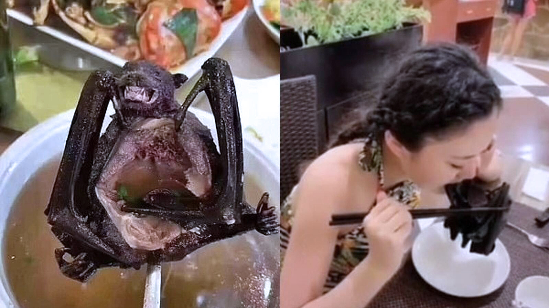 Umhverfisflokkurinn &#237; Noregi vill banna verslun me&#240; villt d&#253;r &#225; al&#254;j&#243;&#240;av&#237;su