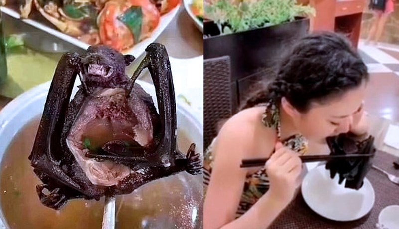 Umhverfisflokkurinn í Noregi vill banna verslun með villt dýr á alþjóðavísu