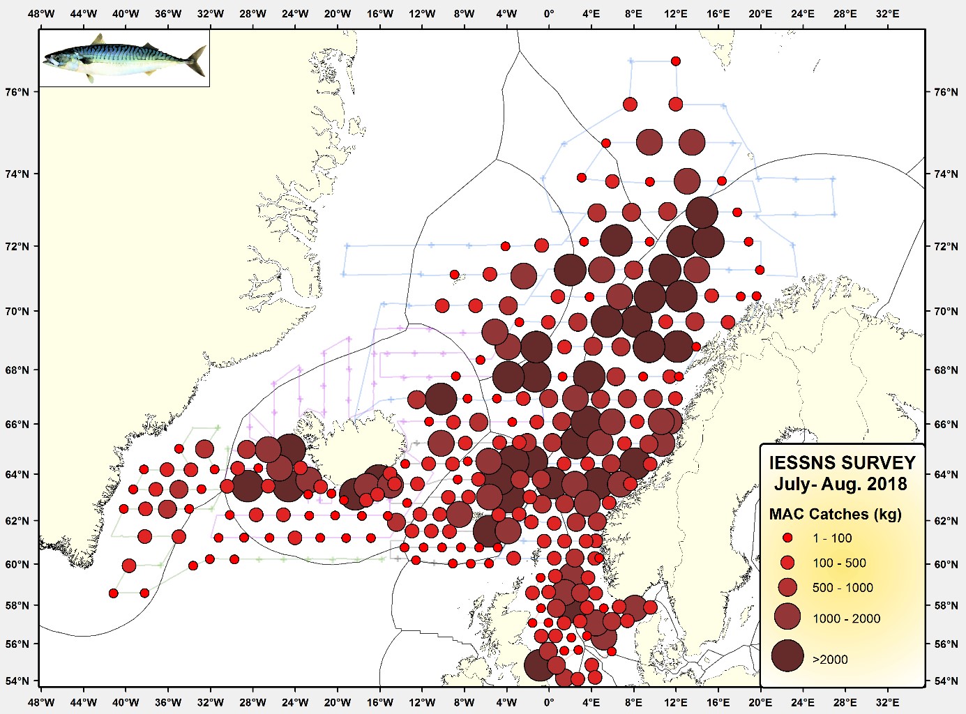 Mest af makríl finnst nú við Noreg