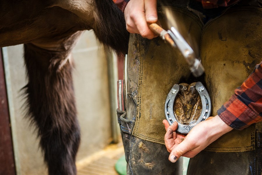 Sérhæft íslenskt járningamannapróf