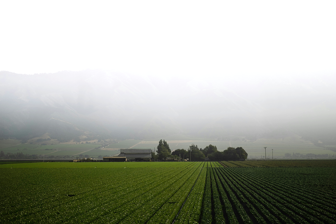 Sólarorkubúskapur í Kaliforníu